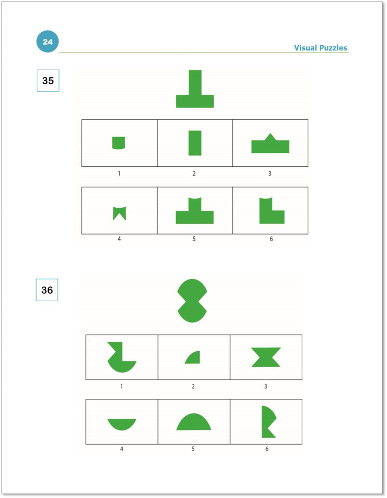 WISC-V visual puzzles