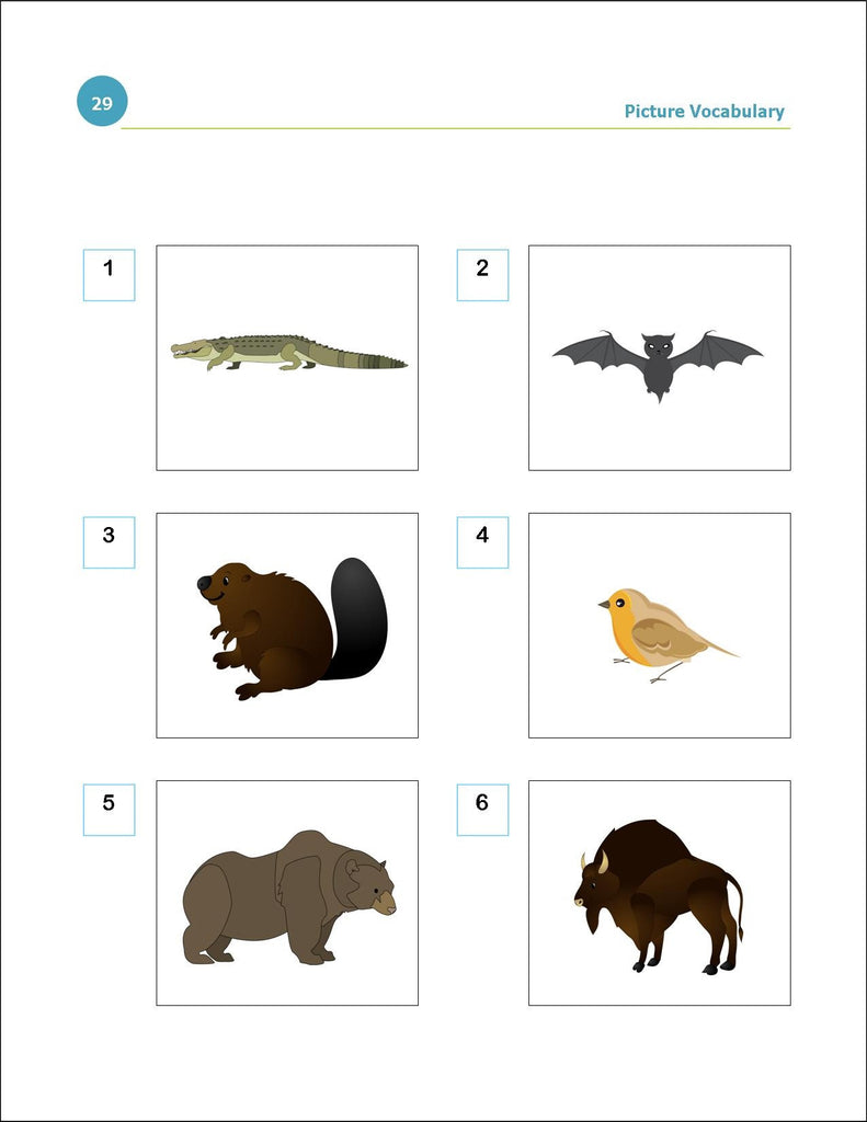 WPPSI-IV Picture Vocabulary